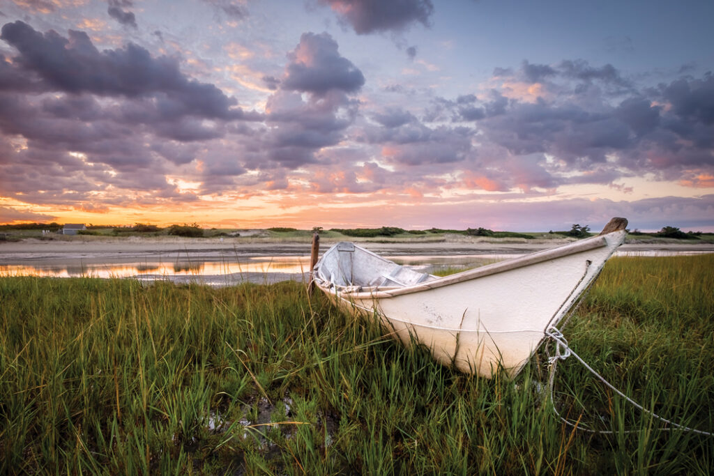 Reader Photo Contest