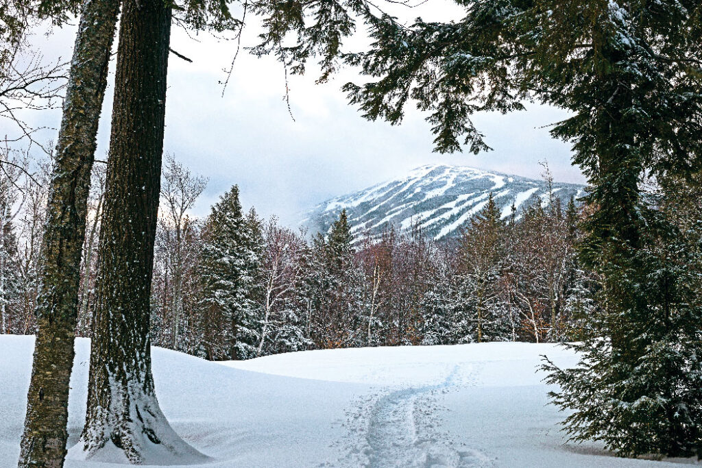 snow-streaked Mountain