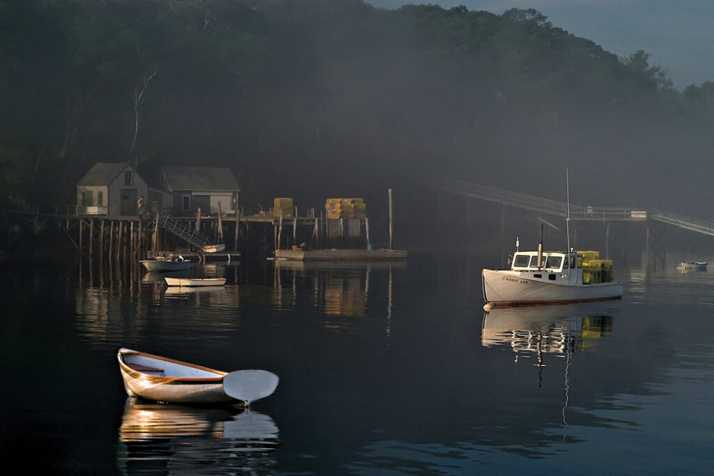 boats on water
