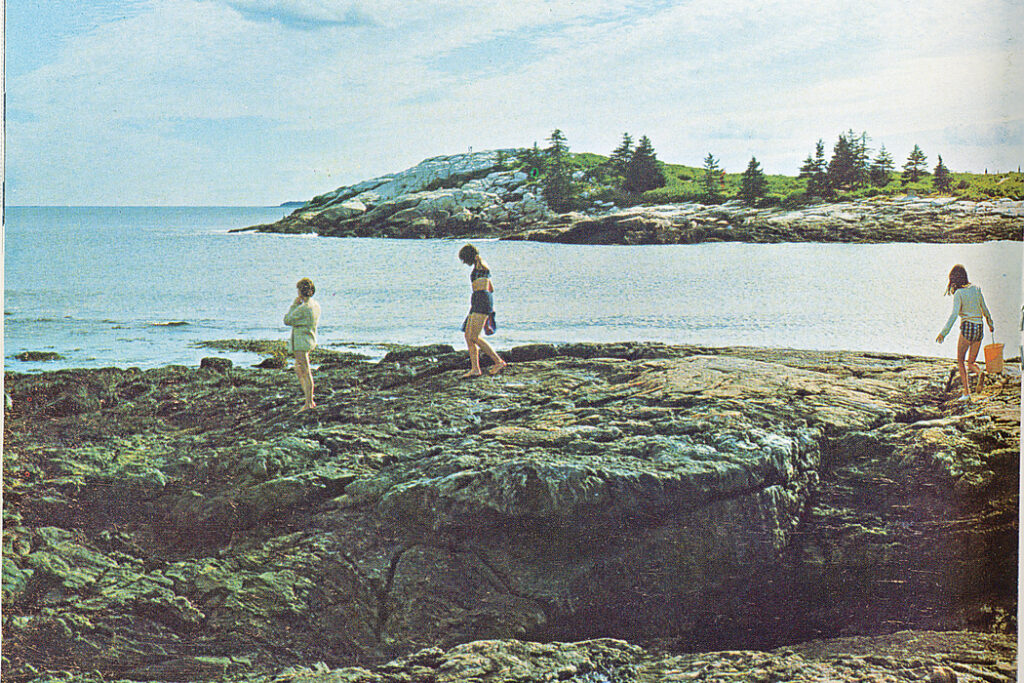 people walking on ocean rocks