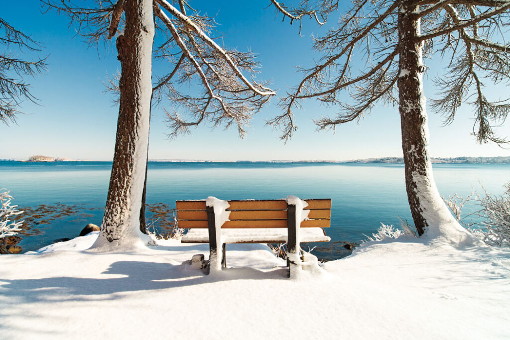 Mackworth Island State Park,