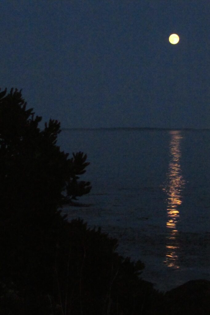 near Marshall Point
