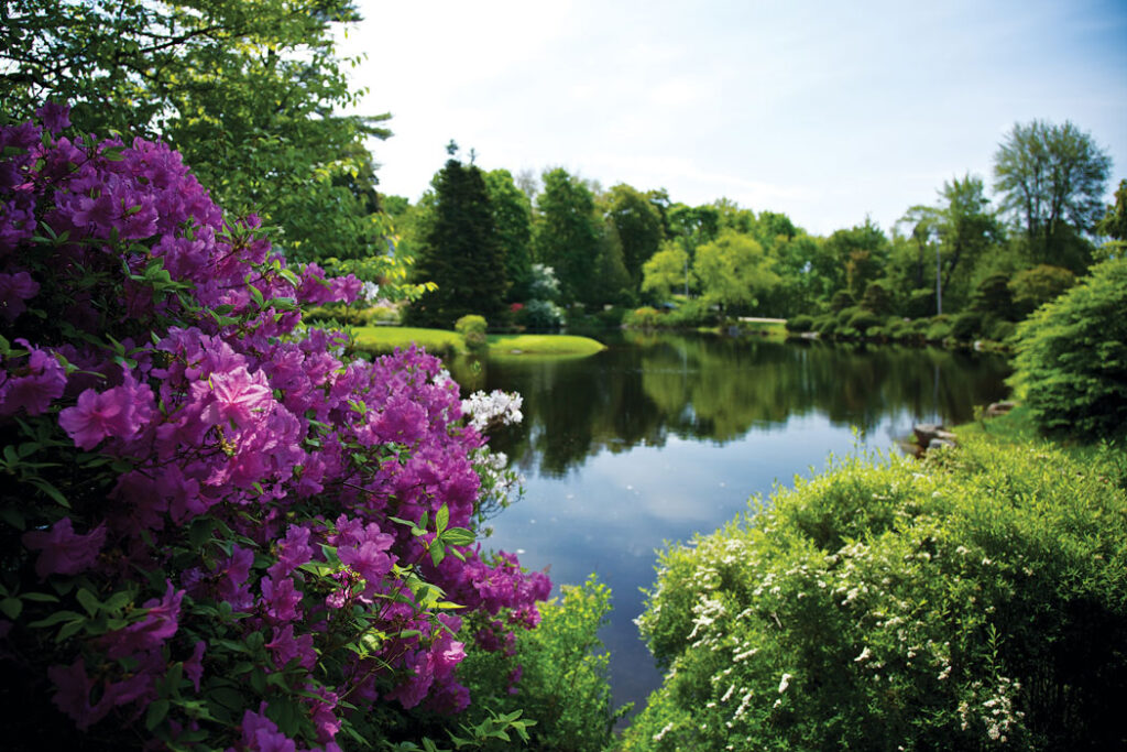 Acadia Gardens