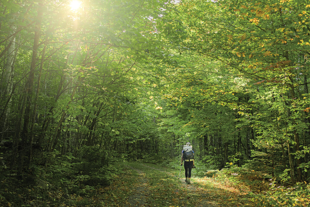 Katahdin Woods and Waters National Monument