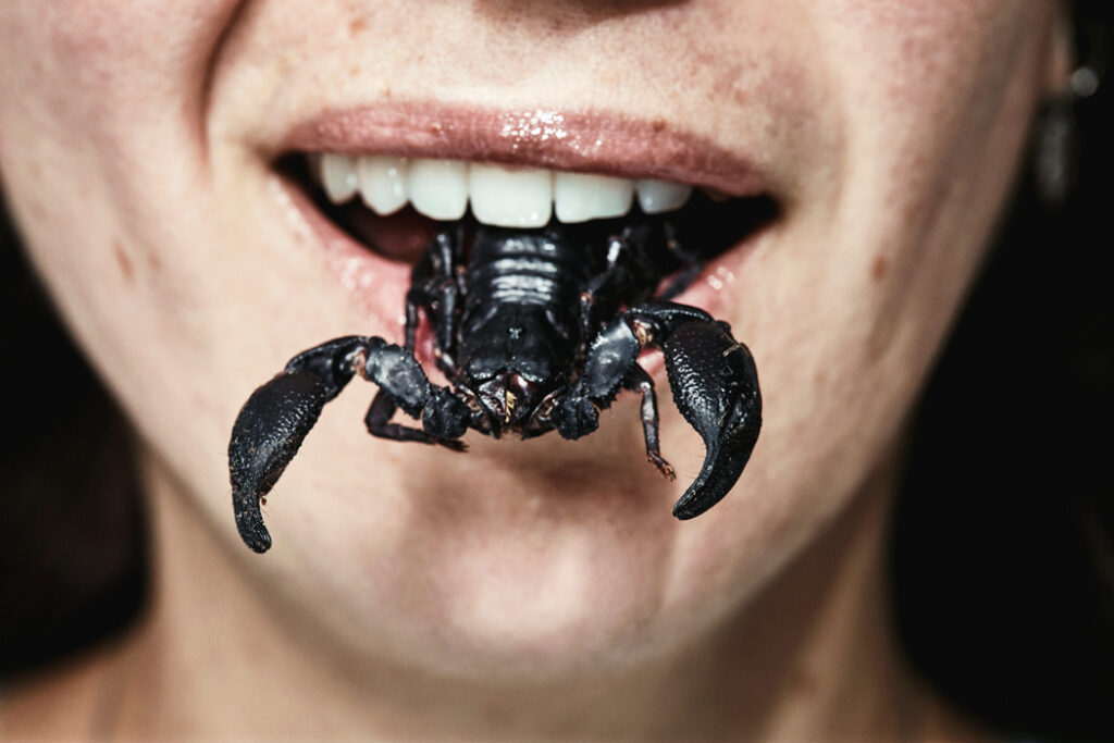 Scorpion