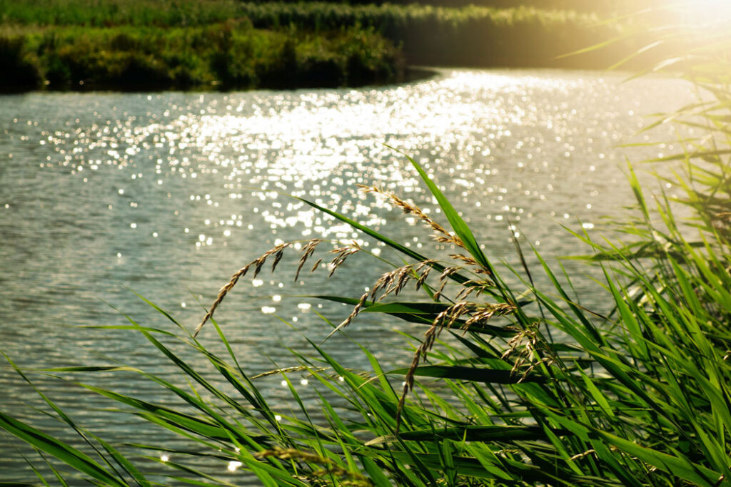 River