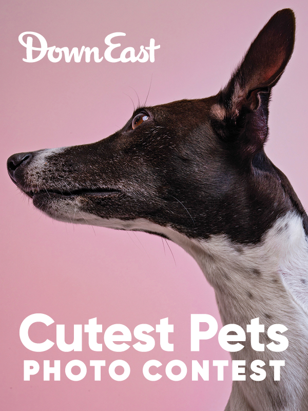 Down East Cutest Pets Contest
