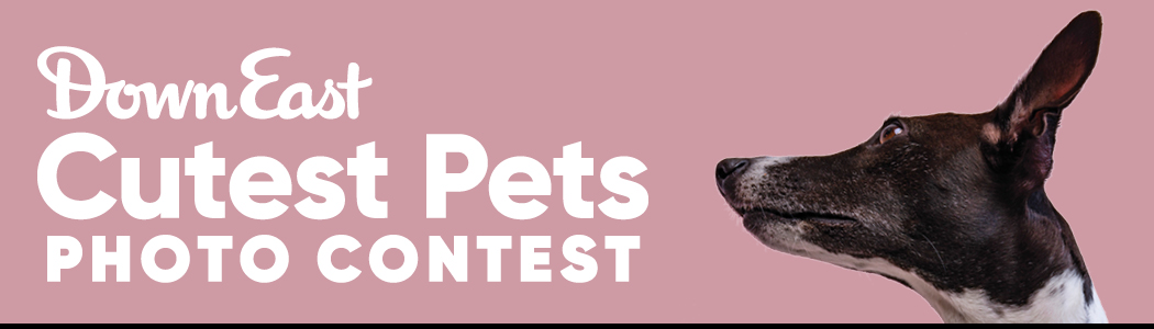 Down East Cutest Pets Contest