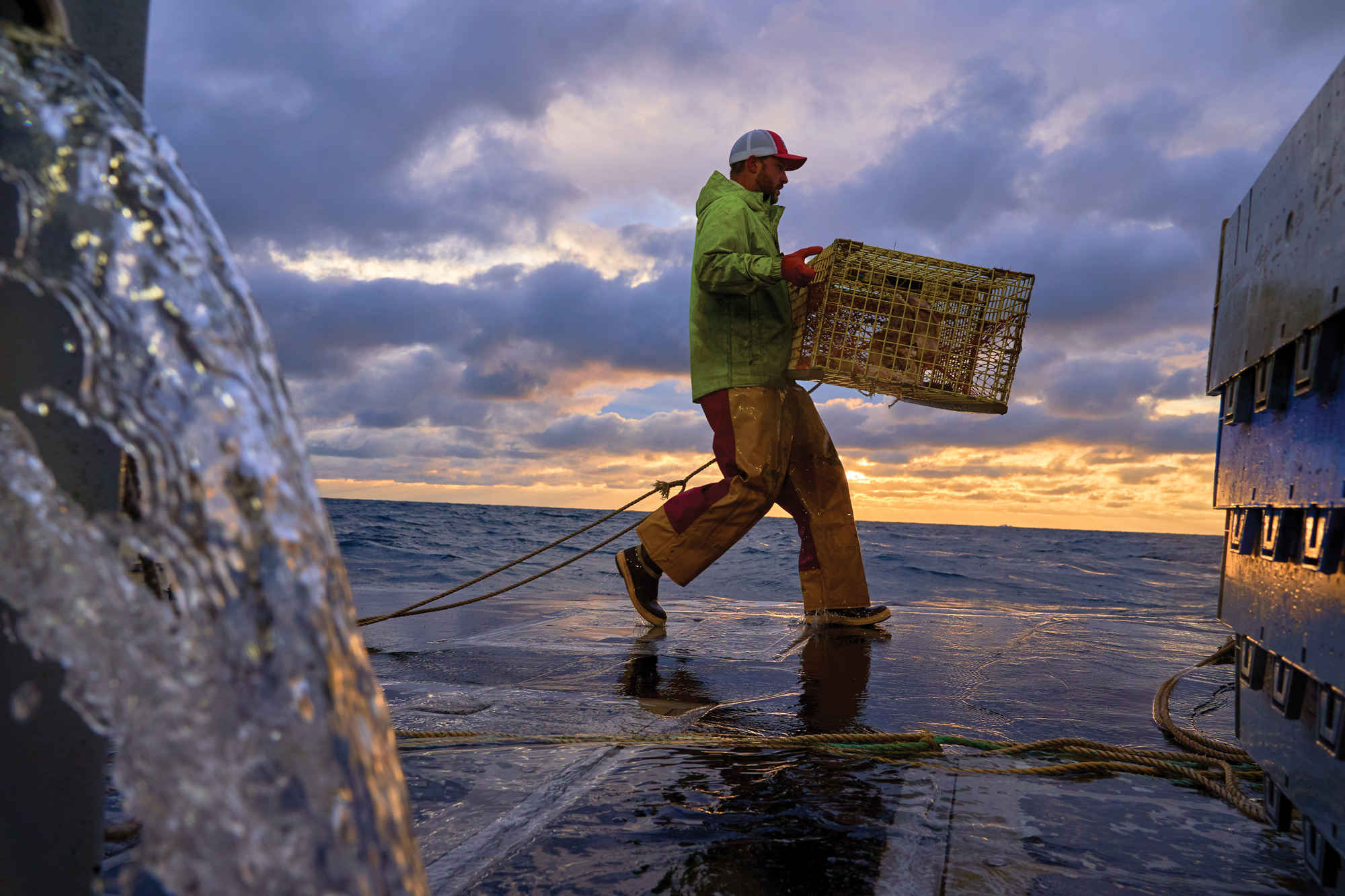 Carrying a baited lobster trap