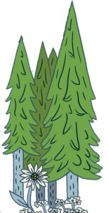 Maine Wellness Guide