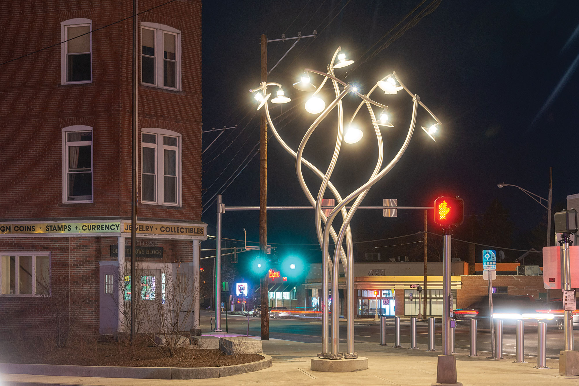Luminous Arbor