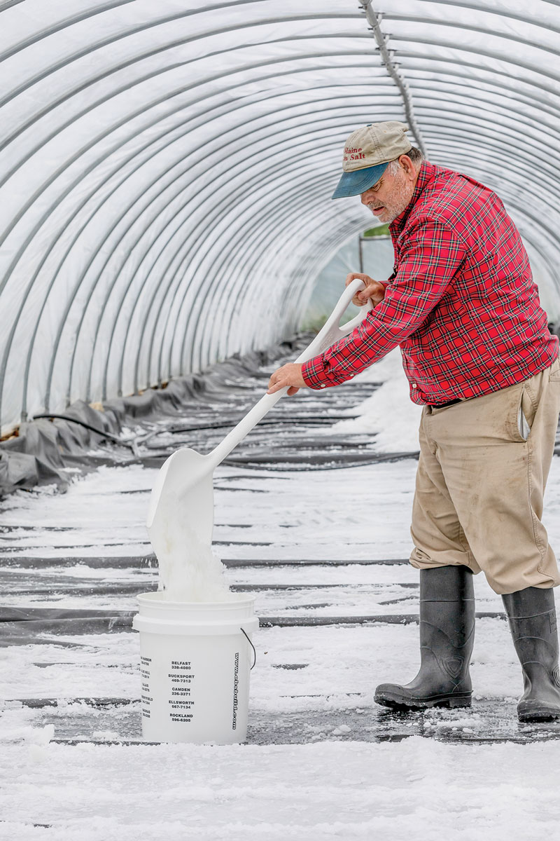 Maine Sea Salt