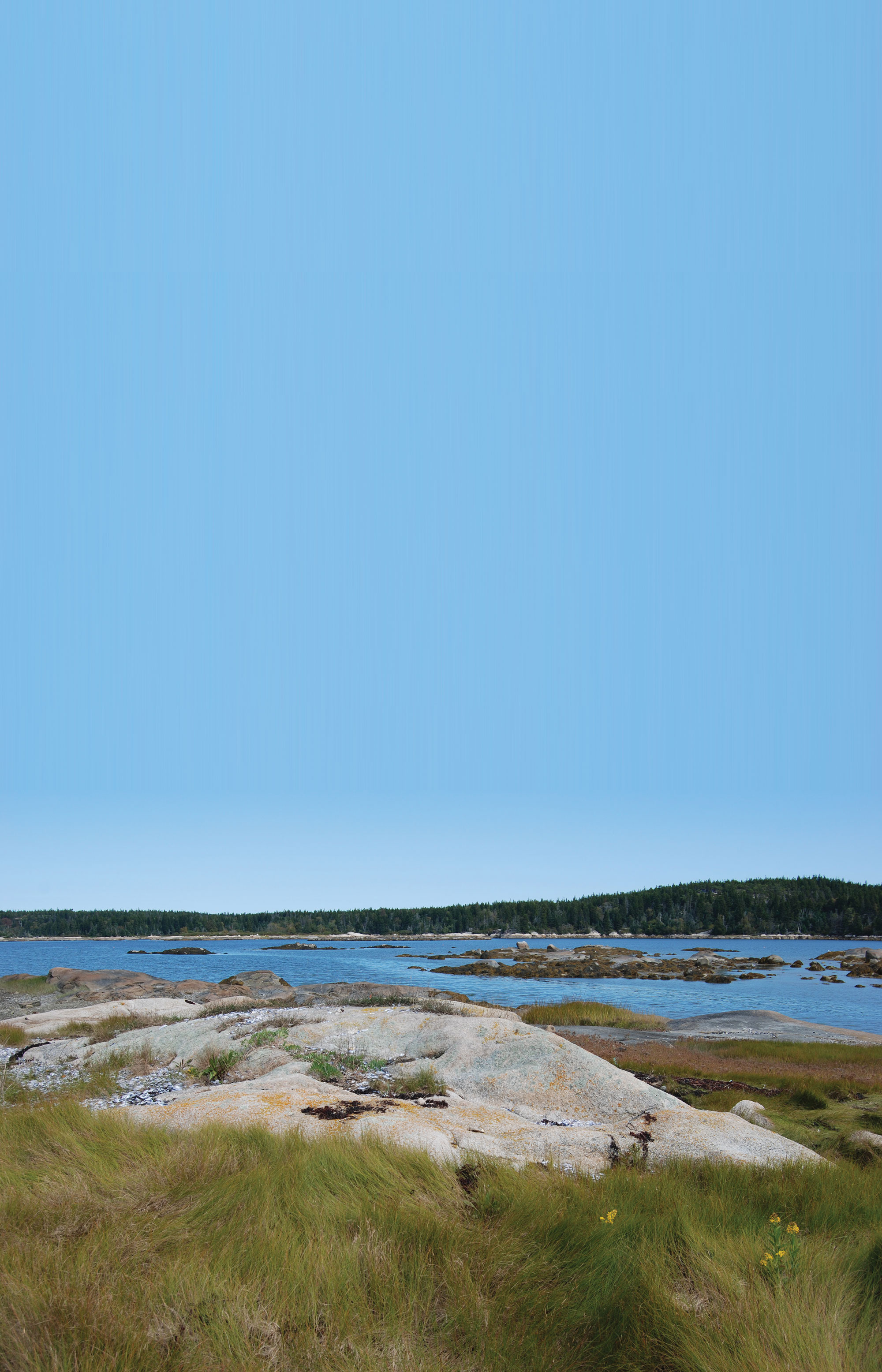 Maine Coast Heritage Trust