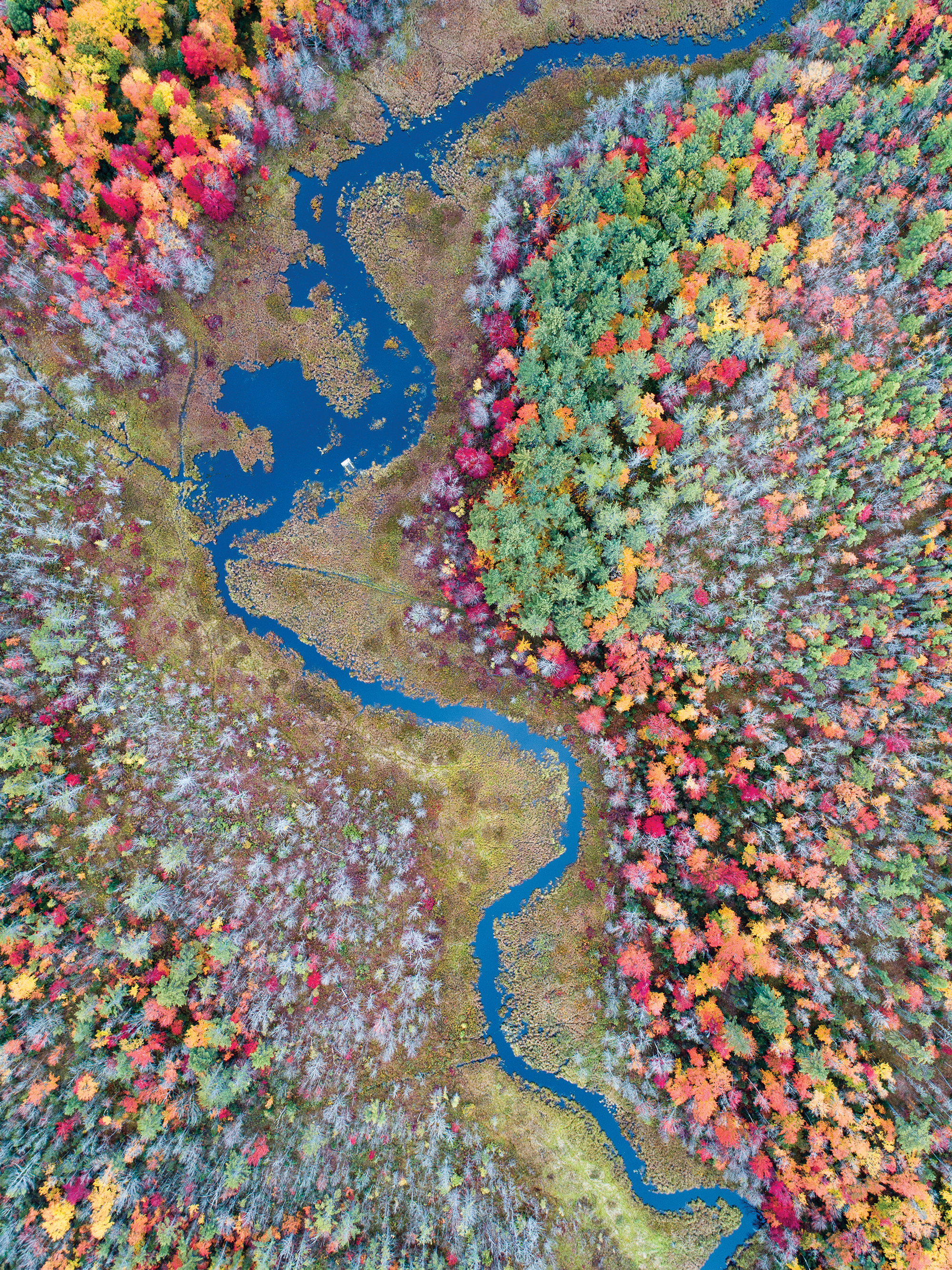 A tributary of Mill Brook meanders outside Bethel.