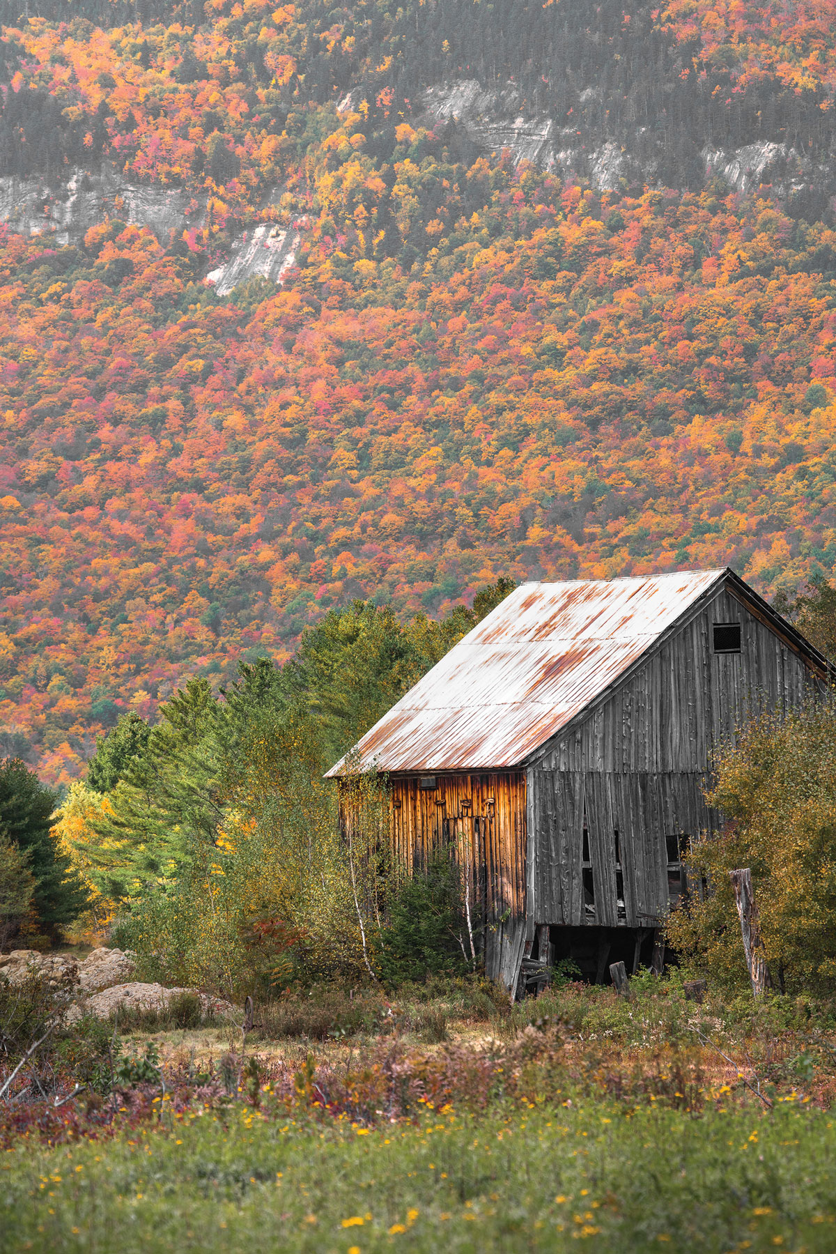 Barn along Bear River Road, just east of Grafton Notch State Park