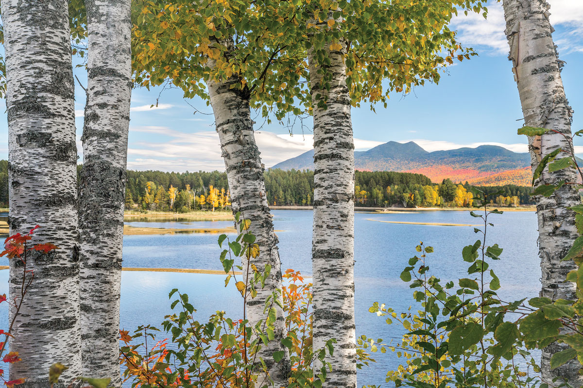 Flagstaff Lake, from Cathedral Pines Campground in Eustis