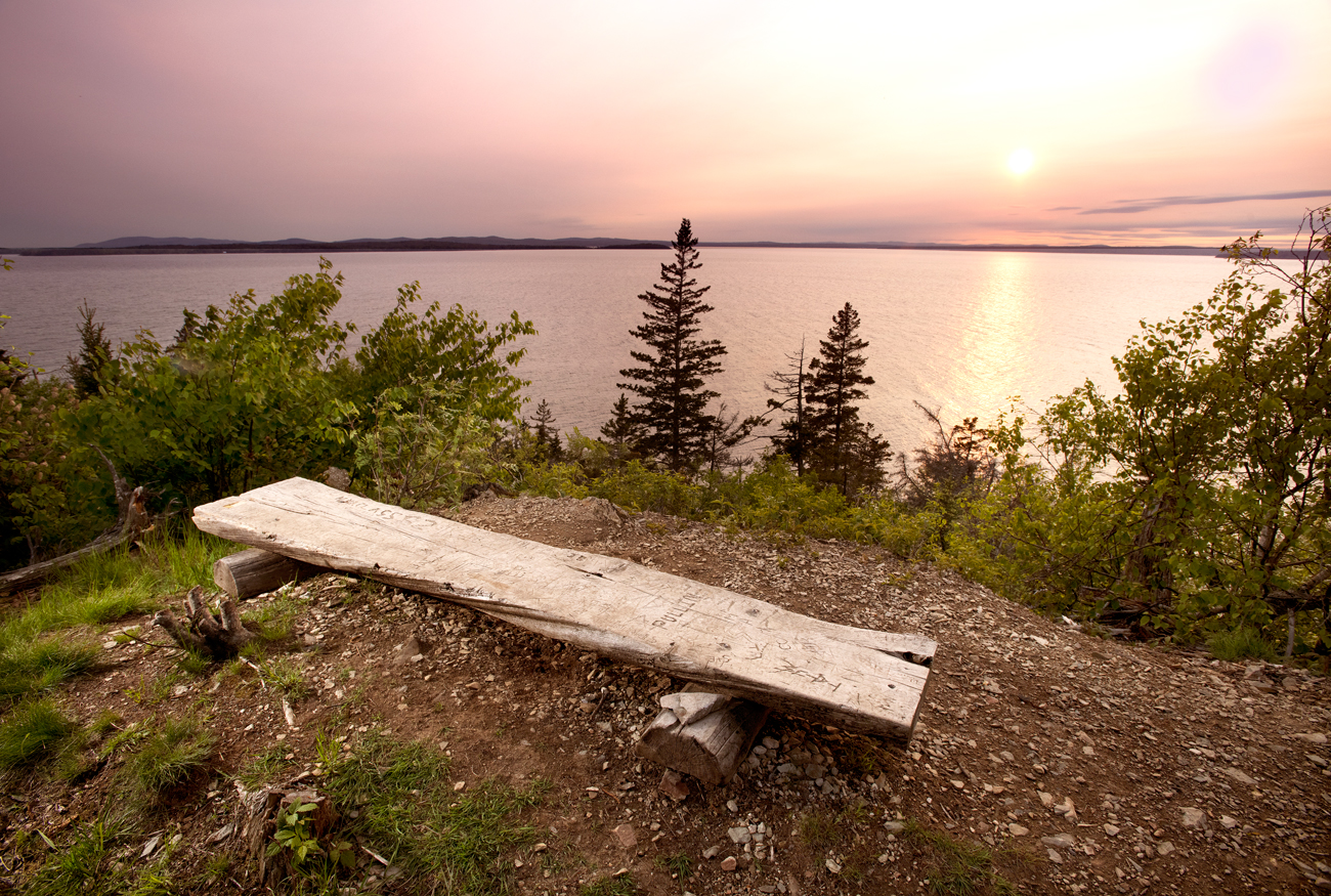 Witherle Woods, Where in Maine August 2019