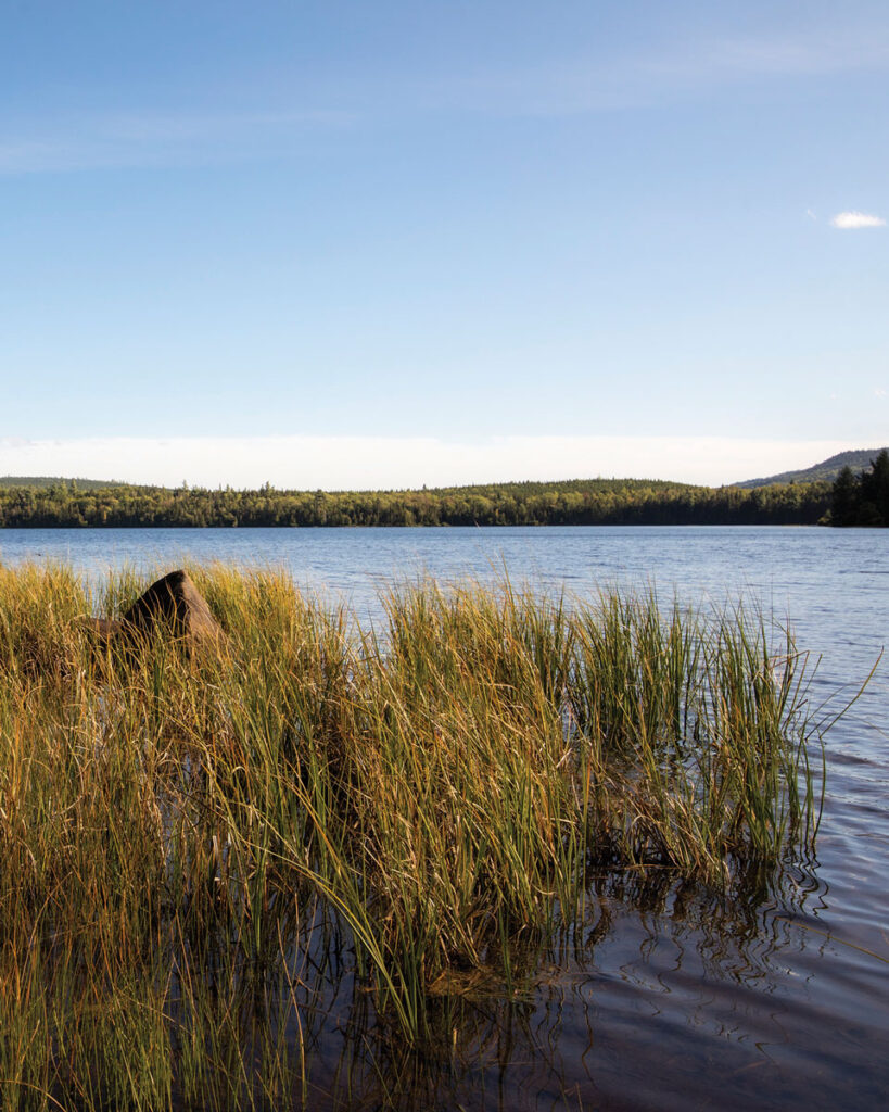 Rock Pond