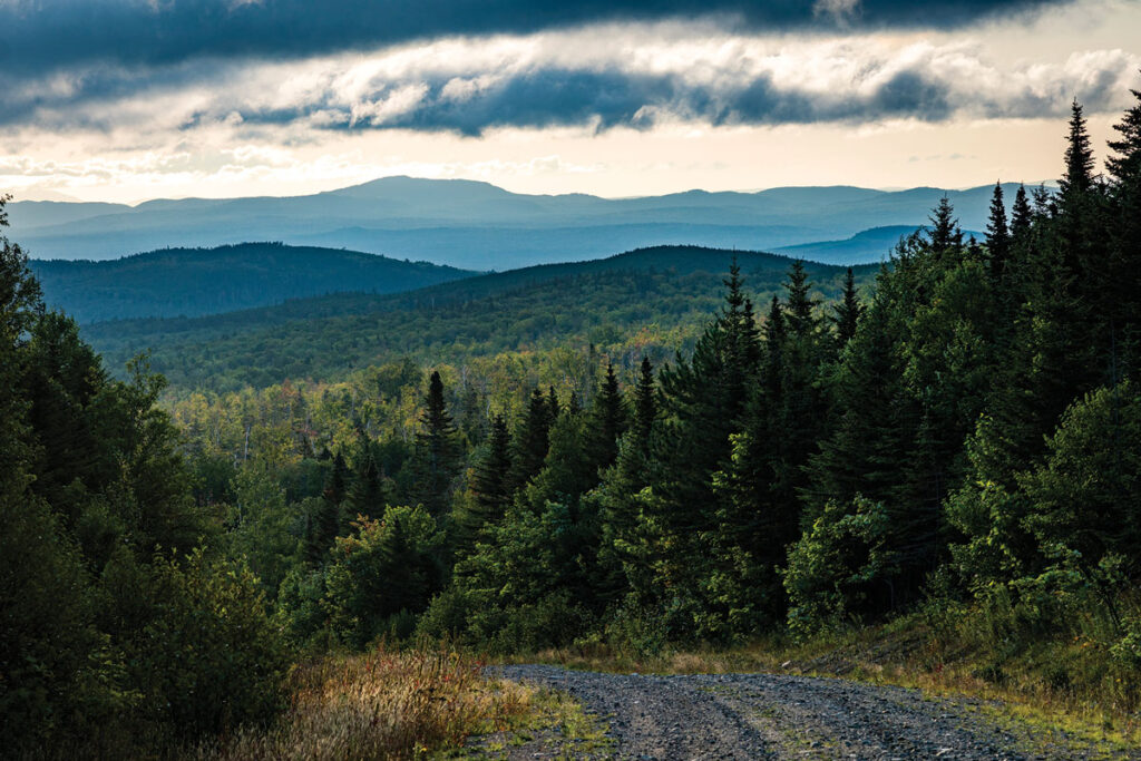 Enchanted Mountain Road