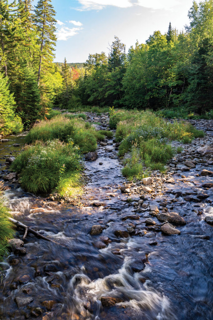 South Branch Moose River