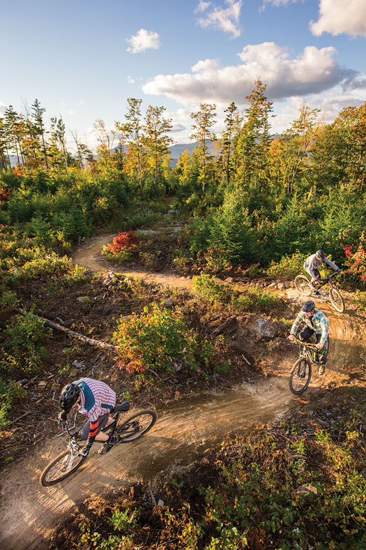 3 people biking on path