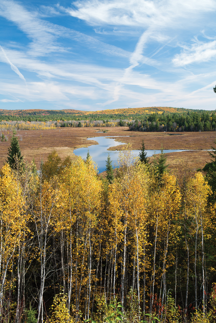 Fall Foliage in Maine - Quiet Splendor - Down East Magazine