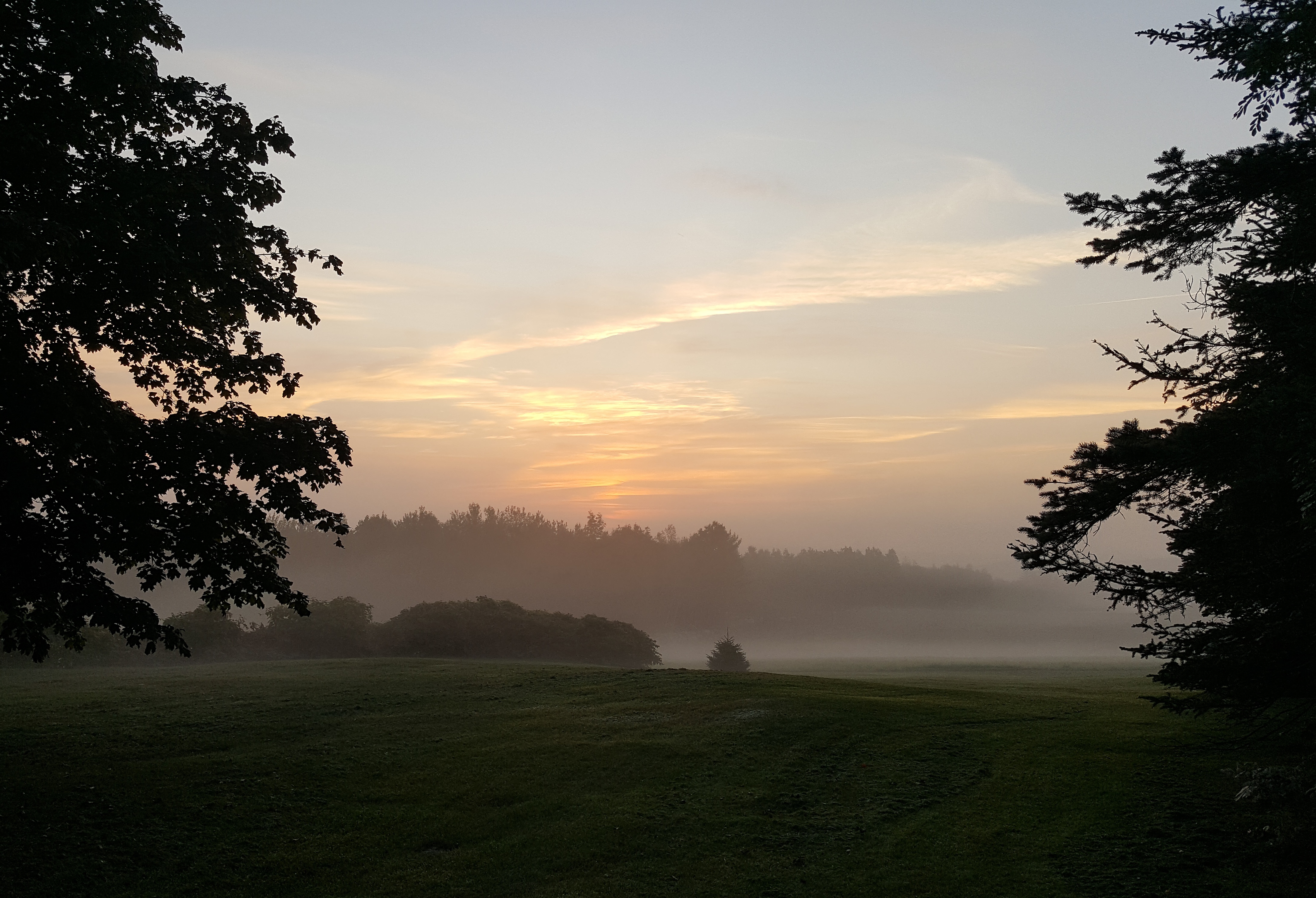 A beautiful foggy sunrise in the foothills of Western ...