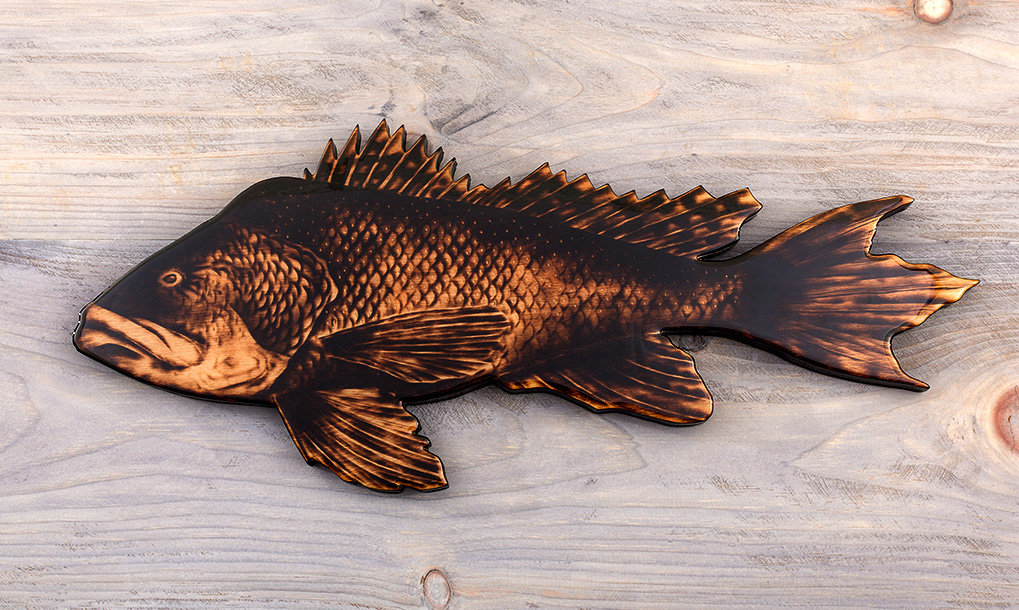 Black Sea Bass