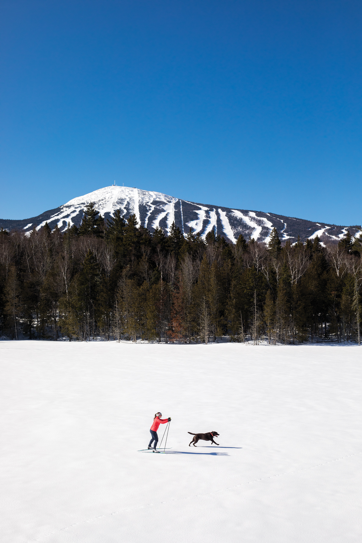 Cross-country skiing in the shadow of Sugarloaf
