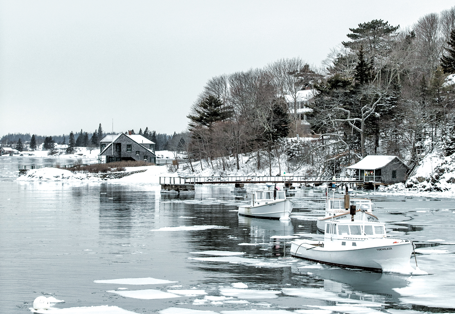 North Haven, Photographed by Greta Rybus