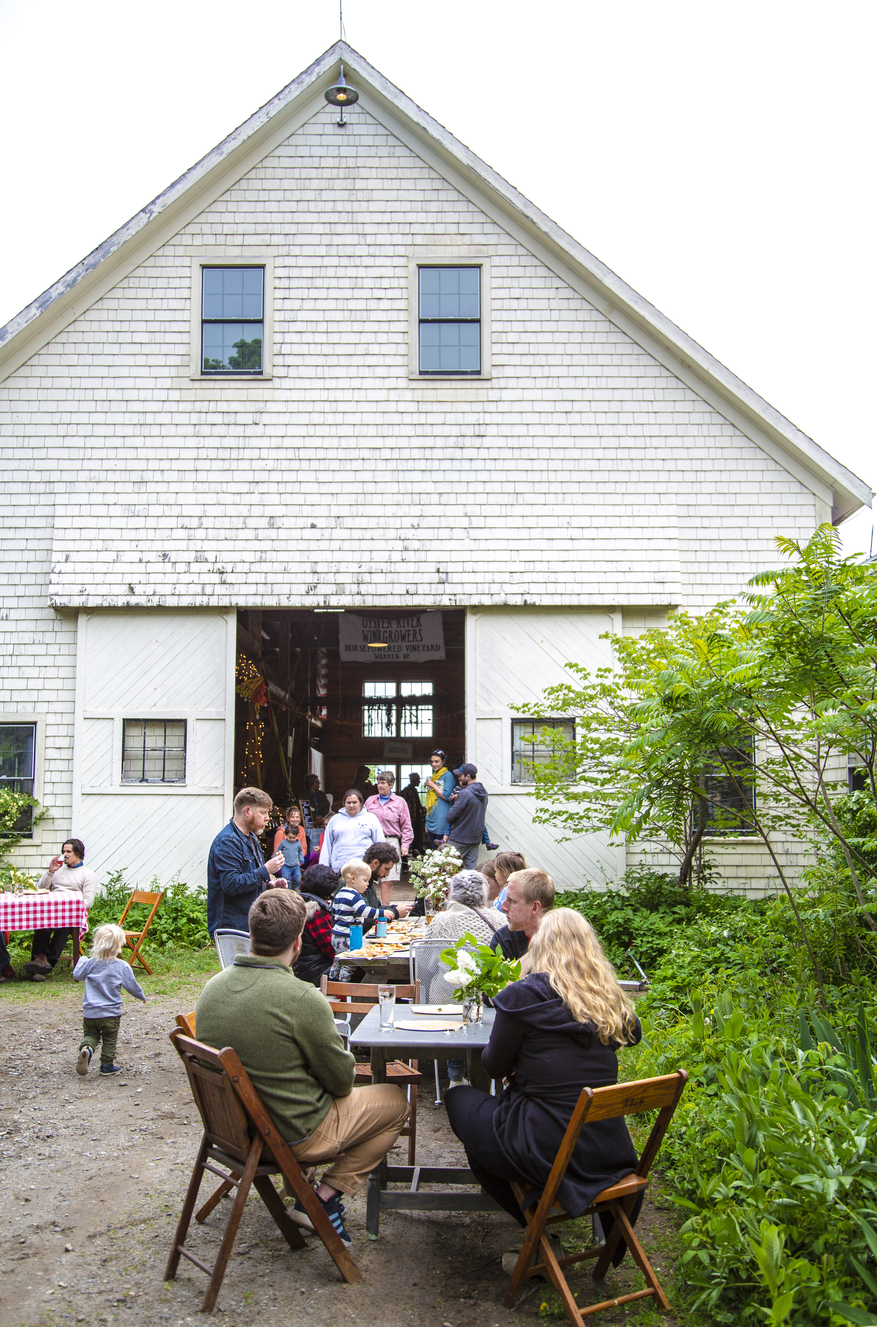 Agritourism In Maine Barn Swallows Down East Magazine - barn swallows