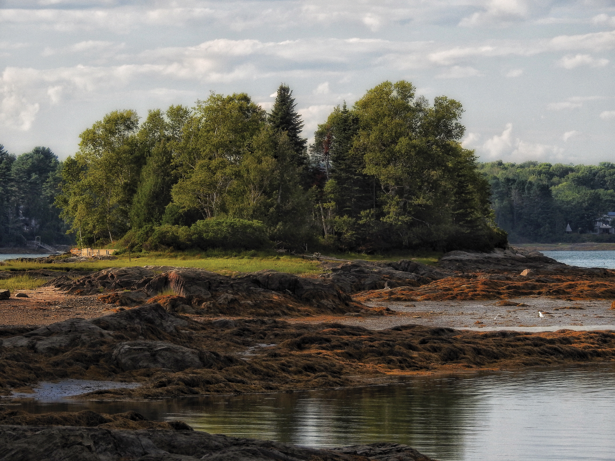 In its later years, kdb’s project occasionally mission-creeped into adjacent watersheds. This low-tide shot was taken near Bowdoin College’s Schiller Coastal Studies Center, in Harpswell, where researchers examine the effects of climate change on coastal ecosystems.