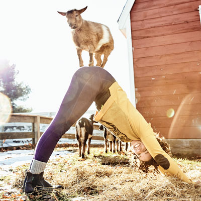 Goat Yoga