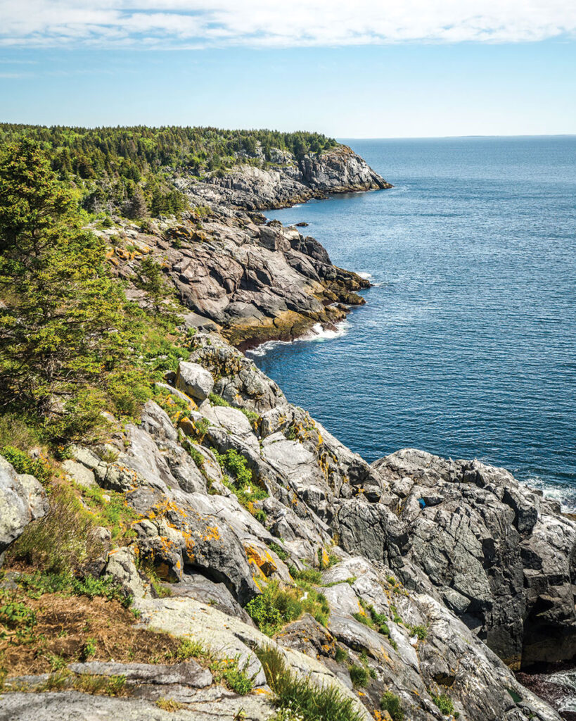 Whitehead, Monhegan, Maine
