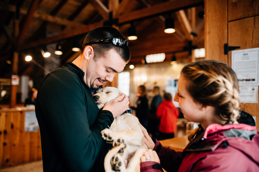 Rescue Dogs