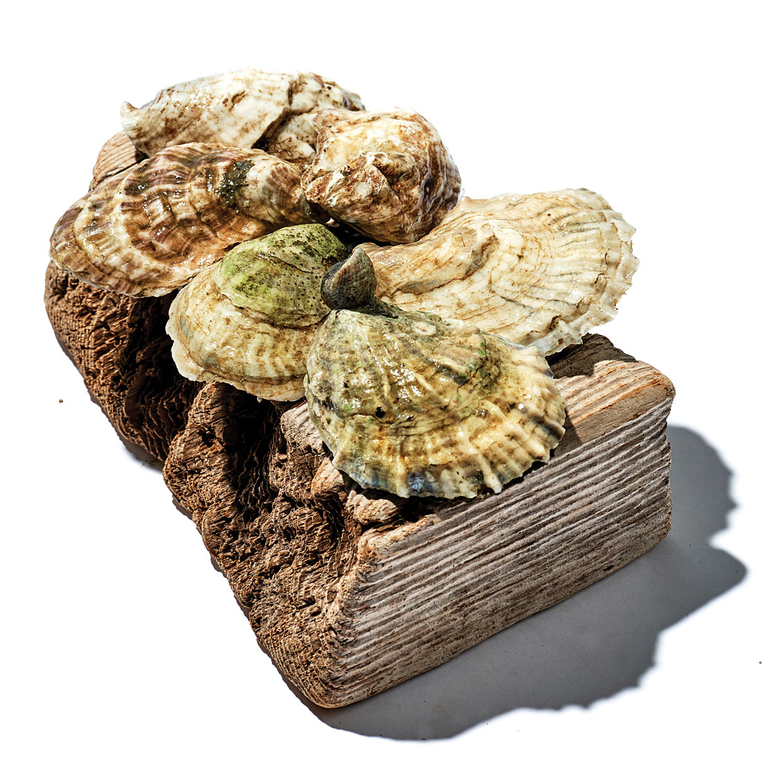 Shuck Station