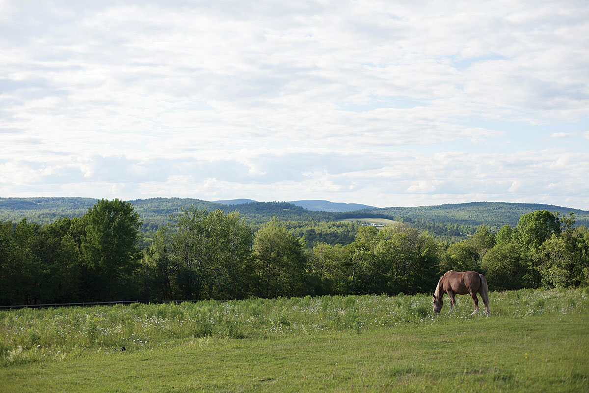 Peace Ridge Sanctuary