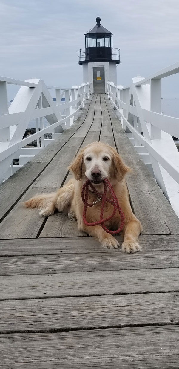 My Sadie