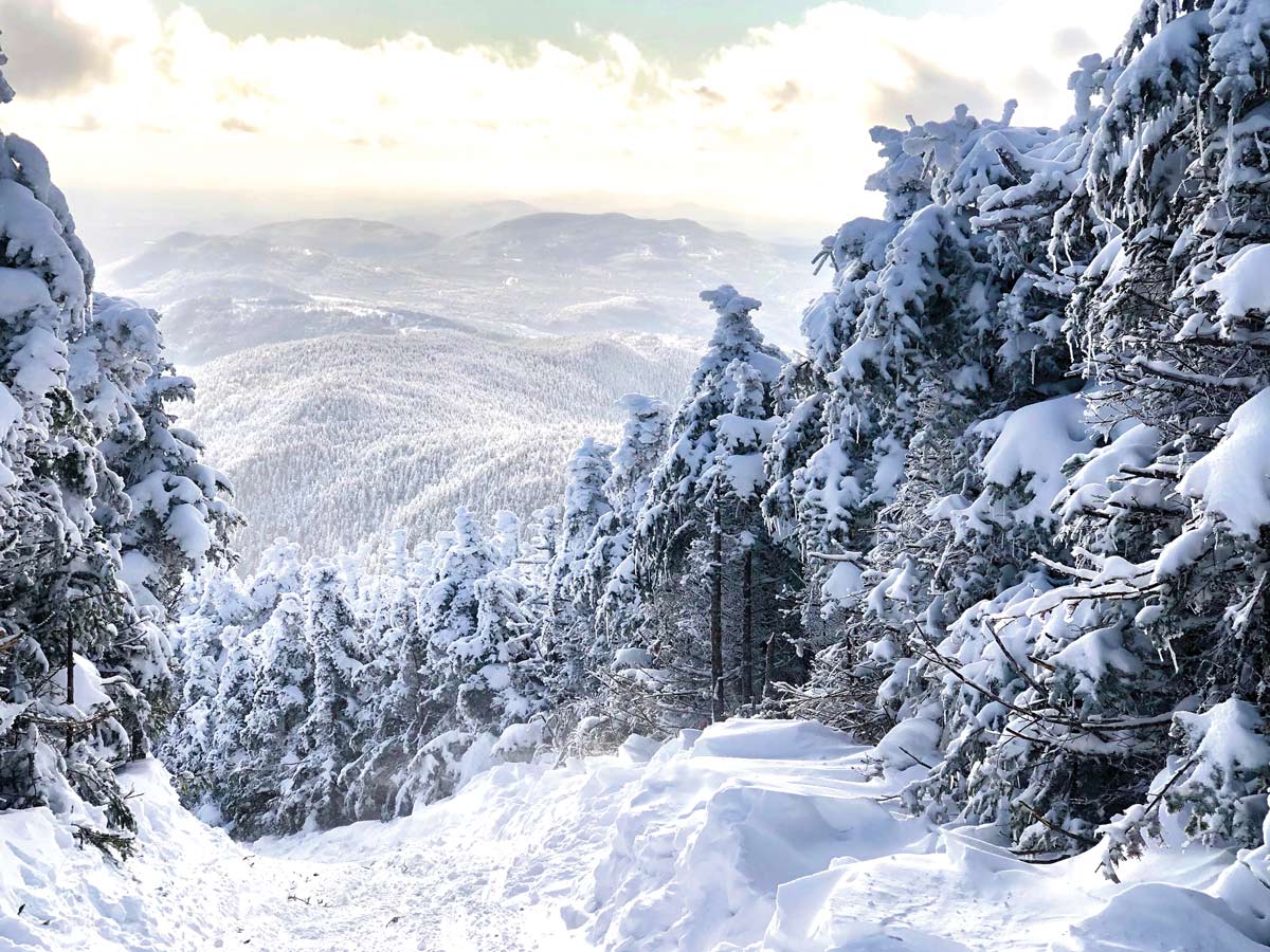 Coburn Mountain, David Whitney's favorite Maine place