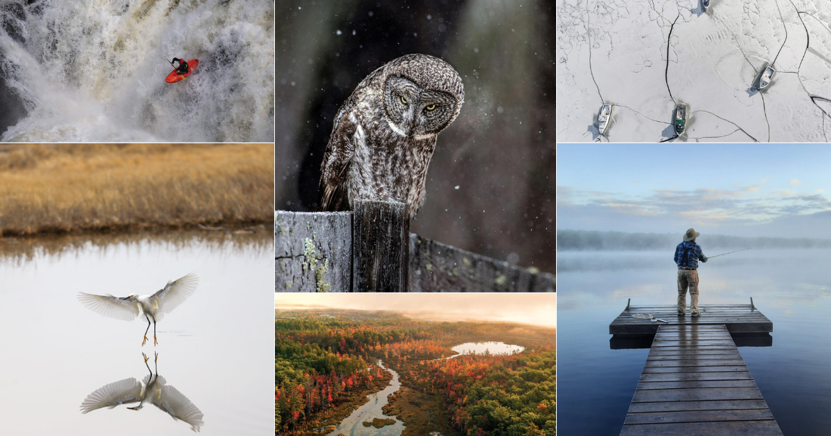 Down East's 6th Annual Reader Photo Contest